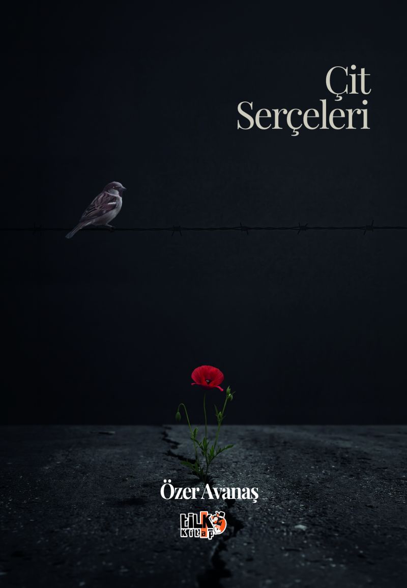 Özer Avanaş - Çit Serçeleri